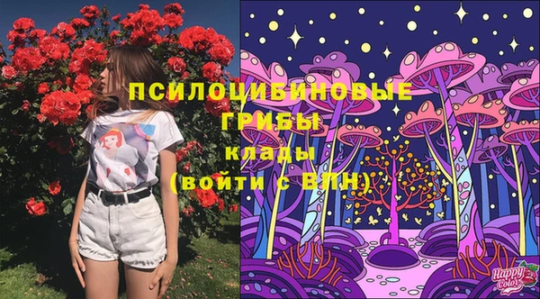 PSILOCYBIN Осташков
