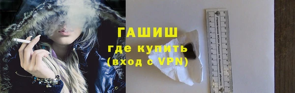 сатива Осинники
