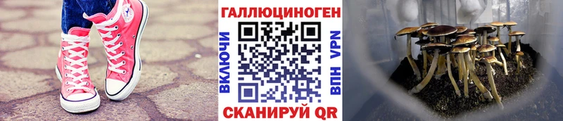 Псилоцибиновые грибы прущие грибы  гидра как войти  Карталы 